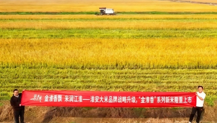 淮安大米新米上市！“金淮香”系列隆重登場
